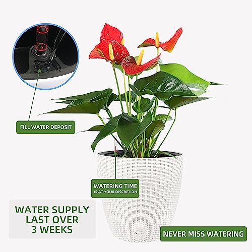 15x14 Self Watering Planter with Wheels