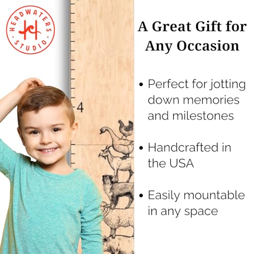 Wooden Ruler Growth Chart for Kids