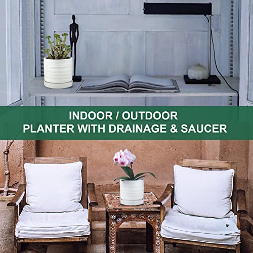 6 Inch Plant Pots