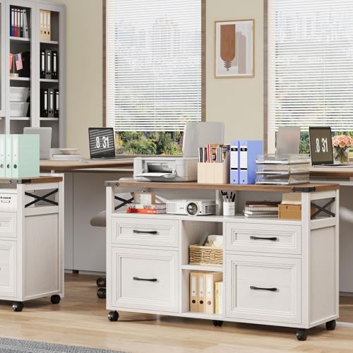 Farmhouse Filing Cabinet with Adjustable Shelf & Wheels