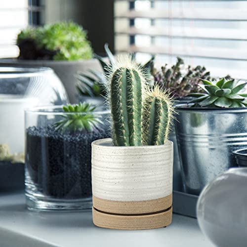 6 Inch Plant Pots