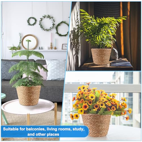 4 Pcs Large Premium Seagrass Planter Basket with Plastic Lining Natural Stylish Planter Baskets Indoor Outdoor Plants Woven Wicker Baskets for Plants Flower Pots Cover and Room Decor (4 Count)