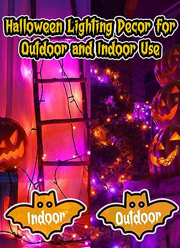 Halloween Orange Purple Outdoor Lights 17.8 Feet 50 LED Christmas Lights (2 Count)