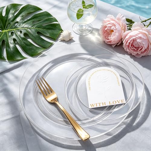 60PCS Clear Plastic Plates (60 Count)