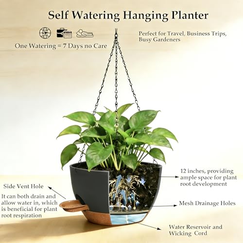 12 Inch Self Watering Hanging Planters 2 Pack (2 Count)