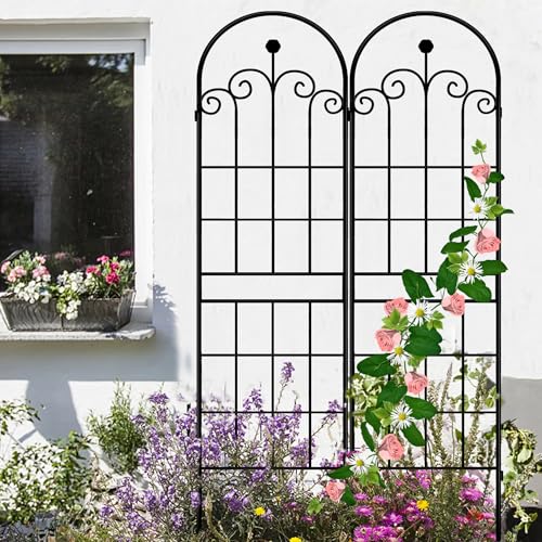 71x80in Rustic Iron Arch Decoration Garden Trellis with Black Metal Coating