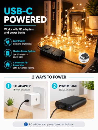 Smart Fairy Lights 200 LED (72.56 Foot)