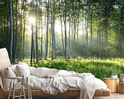 Sunshine Forest Mural Wallpaper Landscape Tree (56.25 Sq Ft)