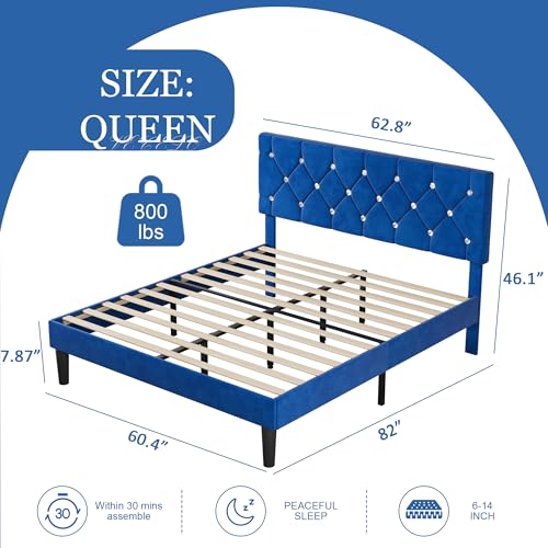 Queen Size Bed Frame