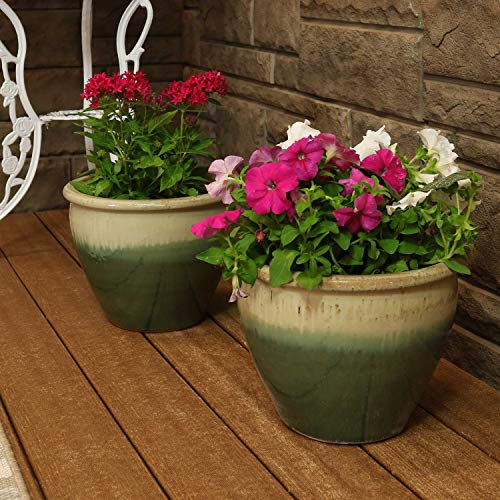 Sunnydaze Chalet 12" Ceramic Plant Pot (2 Count)