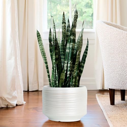 10 Inch Ceramic Plant Pot with Drainage