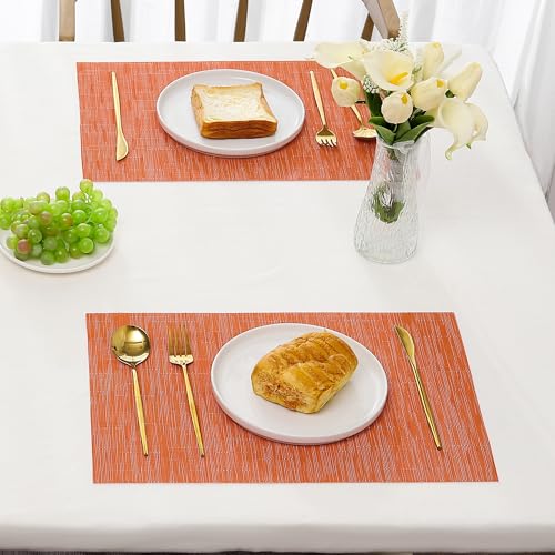 Orange Placemats Set of 6 (6 Count)