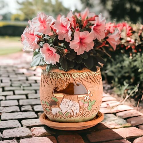 Ceramic Pot with Drainage Hole and Saucer