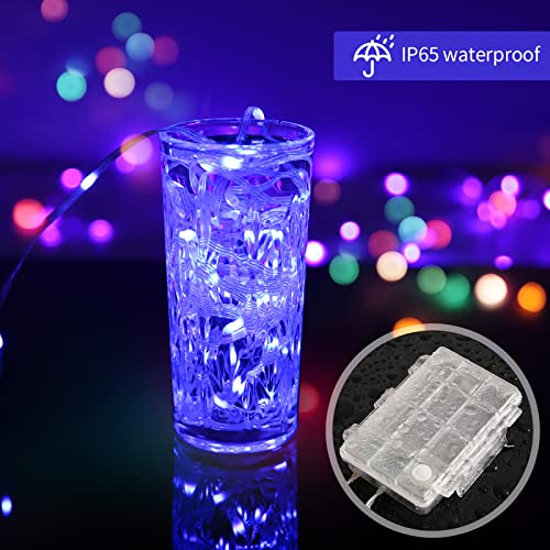 Battery Operated Fairy Lights Color Changing String Lights with Remote