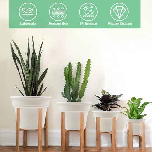 10 Inch Plastic (4 Count)