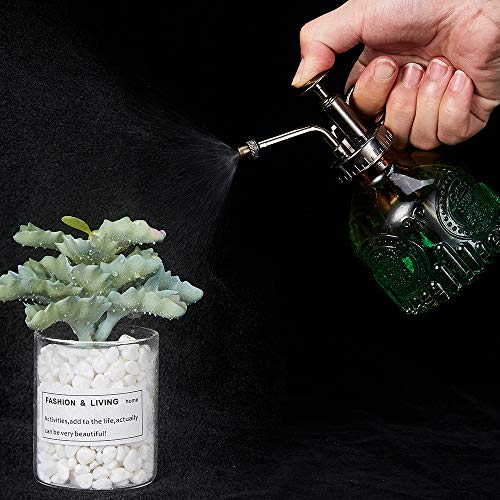 Glass Plant Mister Spray Bottle