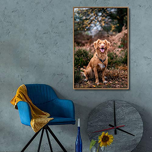 Custom Framed Canvas Prints with Your Photo for Pets