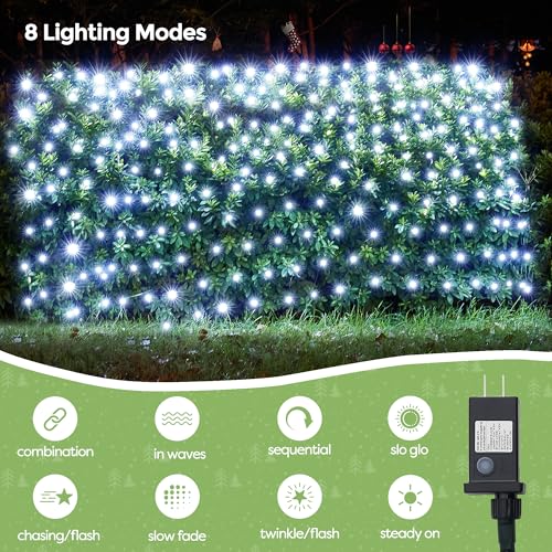 Outdoor Christmas Lights