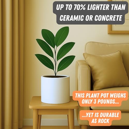 Large Planter for Indoor or Outdoor