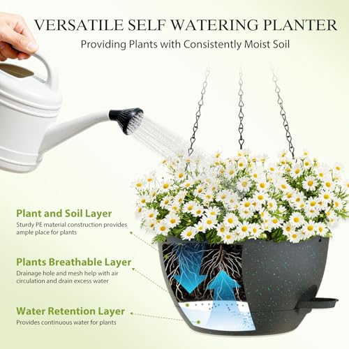 10 Inch Hanging Baskets 2 PC with Chains (2 Count)