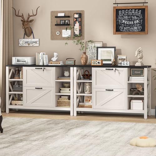 File Cabinet with 2 Drawers