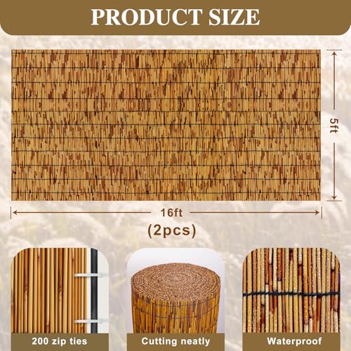 Reed Fencing Rolls (160 Sq Ft)