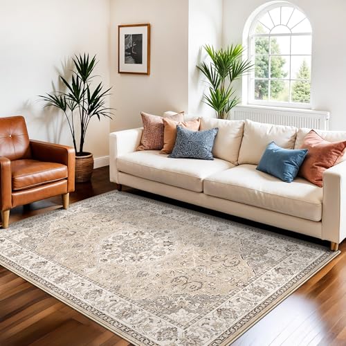 Living Room 4x6 Area Rugs (24.25 Sq Ft)