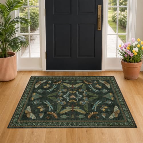 Washable 3x4 Rugs for Entryway (12 Sq Ft)