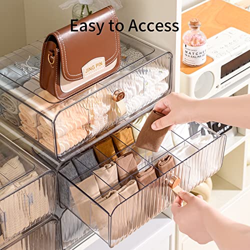 Underwear Organizer for Closet