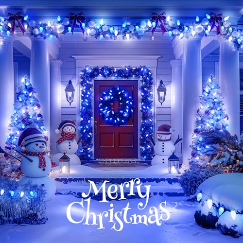 2 Pack Blue and White C9 LED Christmas String Lights (2 Count)