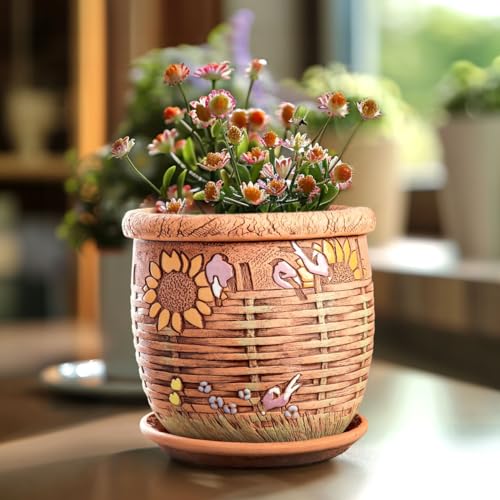 Ceramic Pot with Drainage Hole and Saucer