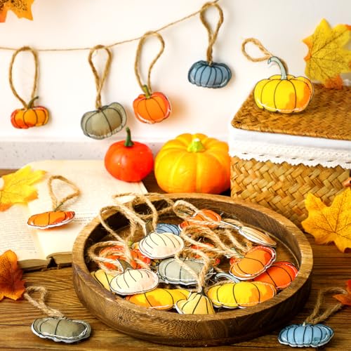 24 Pcs Fall Felt Ornaments for Small Tree (24 Count)