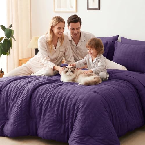 Queen Comforter Set