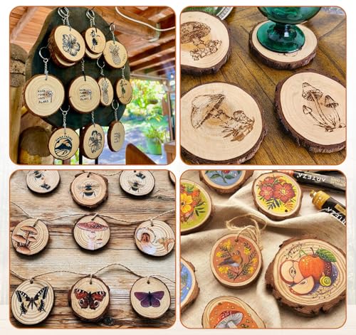 20 Pcs Wooden Discs for Crafts (20 Count)