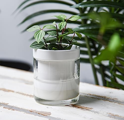 4 Inch Self Watering Planter (2 Count)