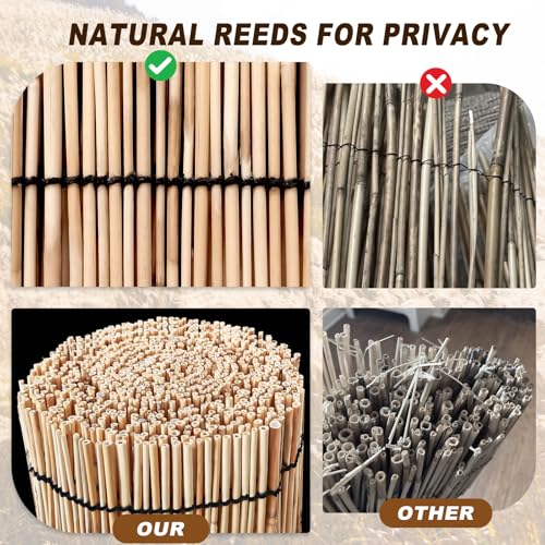 Reed Fencing Rolls (96 Sq Ft)