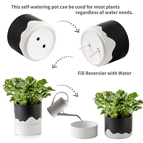 Ceramic Self Watering Plant Pot for Indoor Plants