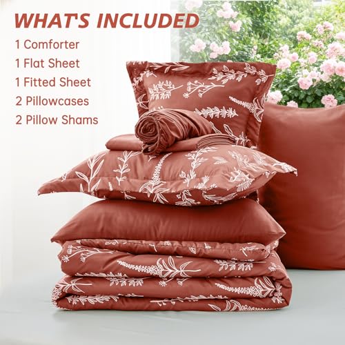 Terracotta Bed in a Bag Queen 7 Pieces