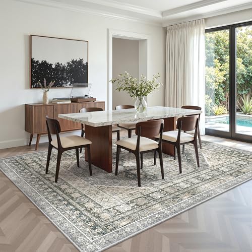 6x9 Area Rugs for Living Room