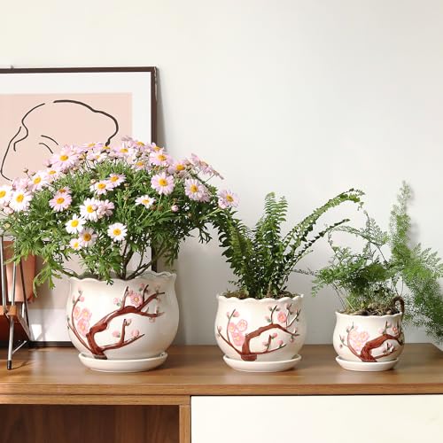 Ceramic Plant Pots with Drainage Holes and Saucers (3 Count)