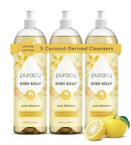 Natural Dish Soap (16 Fl Oz)