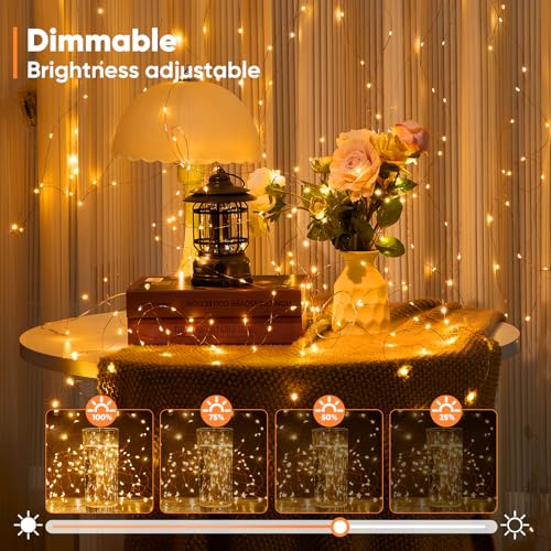 1 Pack 65.6 Ft. Battery Operated Outdoor String Lights with Remote & Timer