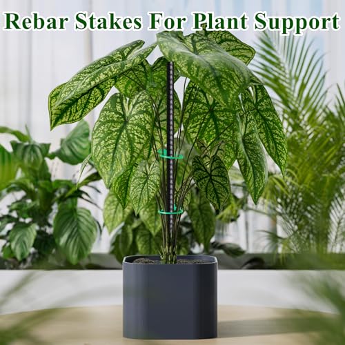 16 Inch Rebar Stakes 30 Pack Heavy Duty Ground Anchors with Chisel Point End Long Straight Steel Tent Stakes 3 (30 Count)