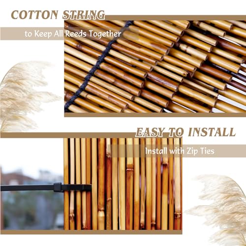 Natural Reed Fencing Roll 6.5x9.8FT Privacy Screen for Patio (63.5275 Sq Ft)