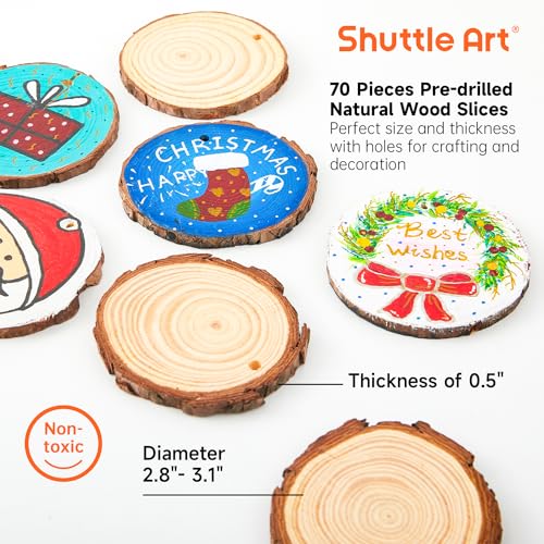 Natural Wood Slices 70 PCS 2.8