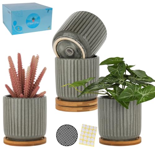 4 in Cylinder Ceramic Plant Pots with Trays (4 Count)