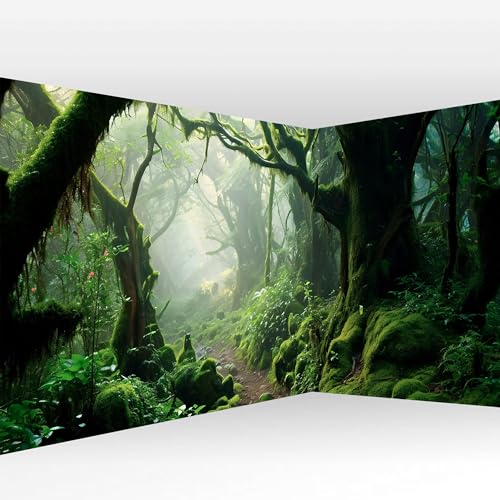 Wall Mural Wallpaper (11 Count)