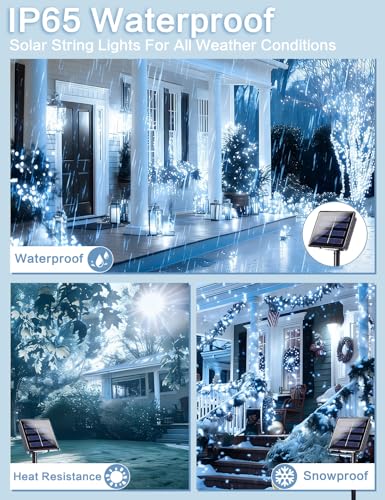 Solar String Lights Outdoor (6 Count)