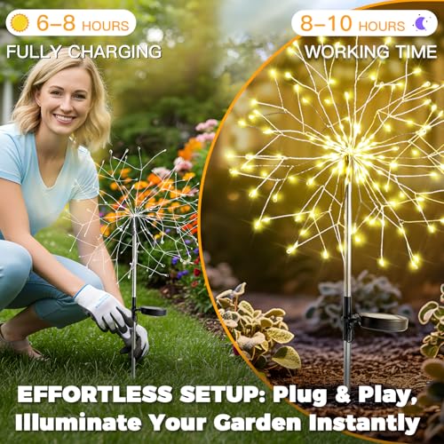 Solar Garden Lights Outdoor Waterproof Decorative (2 Count)