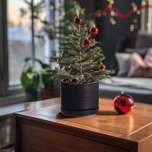 8 Inch Pots for Plants